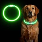 LED Light-Up Reflective Dog Collar - Green