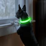 Rechargeable LED Light-Up Dog Collar - Green