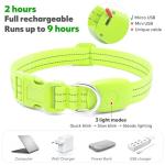 Rechargeable LED Light-Up Dog Collar - Green