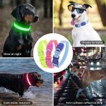 Rechargeable LED Reflective Dog Collar - Large Green