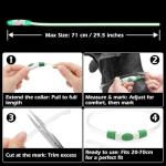 LED Light-Up Reflective Dog Collar - Green