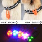 Christmas LED Dog Collar Light for Night Walks