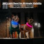 Multicolor LED Dog Collar - Adjustable & Waterproof