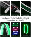 Light-Up Martingale Dog Collar with Adjustable Fit