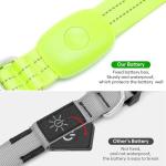 Rechargeable LED Light-Up Dog Collar - Green