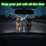 LED Dog Collar Light - 2-Pack, Rechargeable Glow