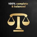 Cesar Classic Beef Wet Dog Food Variety Pack