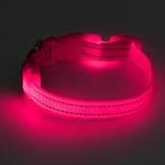 LED Rechargeable Light Up Dog Collar - Pink XS