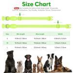 Rechargeable LED Light-Up Dog Collar - Green