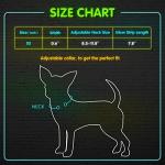 LED Rechargeable Light Up Dog Collar - Pink XS