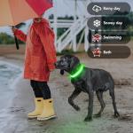 Rechargeable LED Light-Up Dog Collar - Green