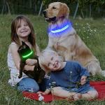 Rechargeable LED Reflective Dog Collar - Large Green