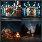 LED Dog Collar Light - 2-Pack, Rechargeable Glow