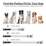 Multicolor LED Dog Collar - Adjustable & Waterproof