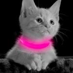 LED Rechargeable Light Up Dog Collar - Pink XS