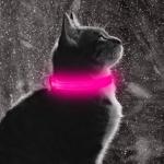 LED Rechargeable Light Up Dog Collar - Pink XS