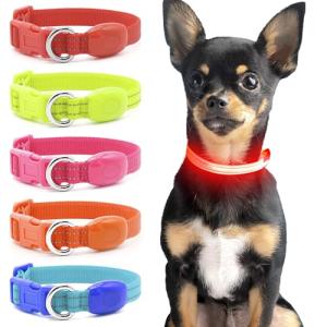 Rechargeable LED Dog Collar for Night Safety