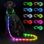 LED Light-Up Dog Leash and Collar Combo
