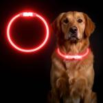LED Light-Up Reflective Dog Collar for Night Walks