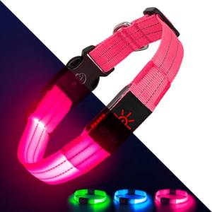LED Light Up Dog Collars - Rechargeable, Adjustable, Bright