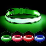 Green LED Dog Collar - Adjustable & Reflective