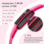 LED Light Up Dog Collars - Rechargeable, Adjustable, Bright