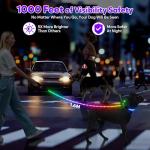 LED Light-Up Dog Leash and Collar Combo