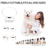 Rechargeable LED Dog Collar - Waterproof & Adjustable