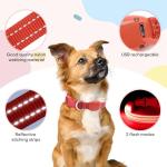 Rechargeable LED Dog Collar for Night Safety