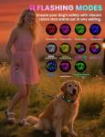 LED Waterproof Dog Leash and Collar Set