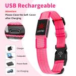 LED Light Up Dog Collars - Rechargeable, Adjustable, Bright