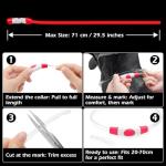 LED Light-Up Reflective Dog Collar for Night Walks