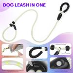 LED Light-Up Dog Leash and Collar Combo
