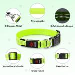 Light Up Dog Collar - Reflective LED Adjustable