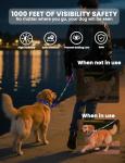 LED Waterproof Dog Leash and Collar Set