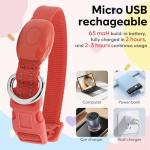 Rechargeable LED Dog Collar for Night Safety