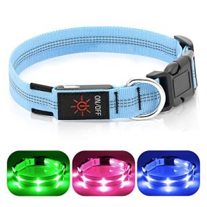 Weesiber Rechargeable LED Dog Collar - Blue