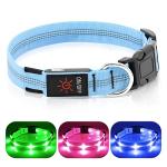 Weesiber Rechargeable LED Dog Collar - Blue