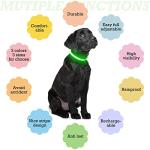 Green LED Dog Collar - Adjustable & Reflective