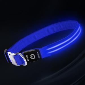 USB Rechargeable LED Dog Collar with Metal Buckle