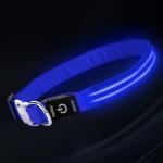 USB Rechargeable LED Dog Collar with Metal Buckle