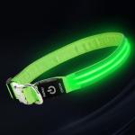 Glow-in-the-Dark LED Dog Collar - Green Large