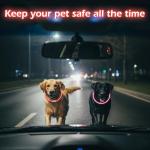LED Light-Up Reflective Dog Collar for Night Walks