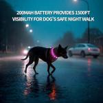 Rechargeable LED Dog Collar - Waterproof & Adjustable