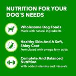 IAMS Proactive Health Adult Wet Dog Food 12-Pack