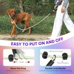 LED Light-Up Dog Leash and Collar Combo
