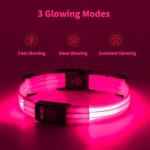 LED Light Up Dog Collars - Rechargeable, Adjustable, Bright