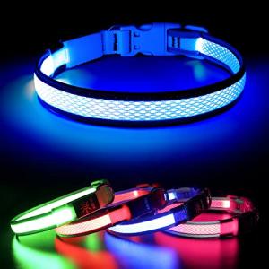 BSEEN Rechargeable LED Light Up Dog Collar