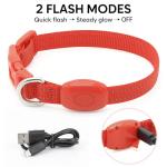 Rechargeable LED Dog Collar for Night Safety