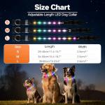 Light Up USB Rechargeable Dog Collar - 6 Modes